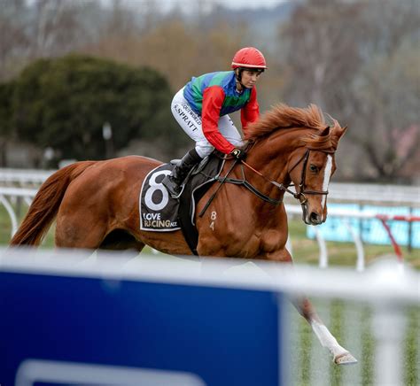 nz horse racing results|New Zealand Horse Racing Statistics and Information .